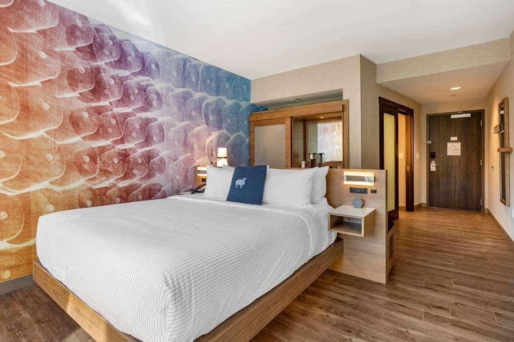 Cambria Hotel Manchester Саут-Віндзор Номер фото